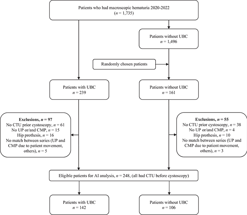 Figure 1B