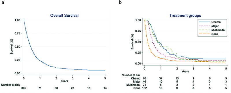 Initial management and survival of patients with primary metastatic ...