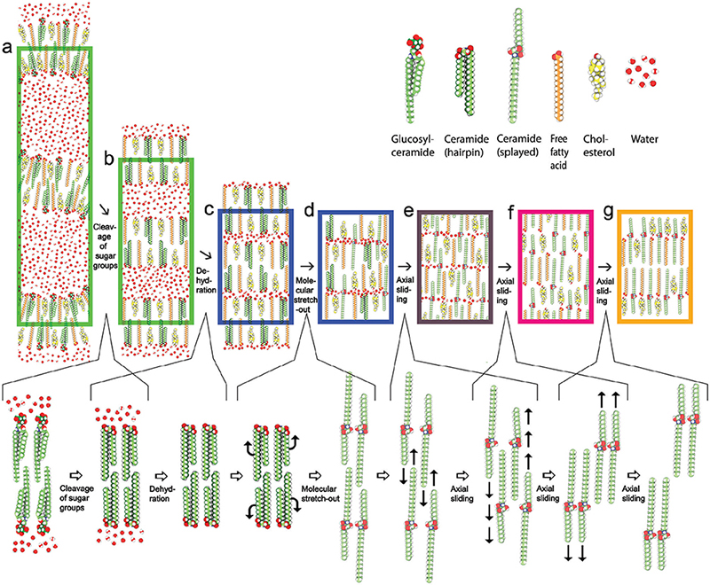 Figure 16