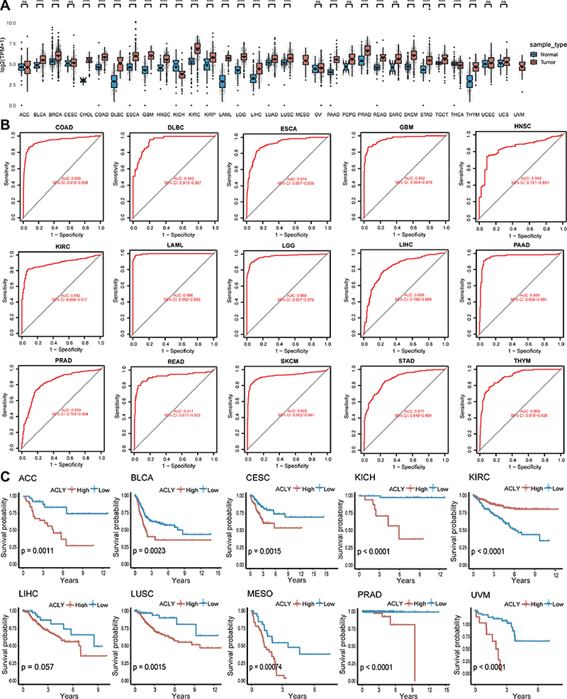ATP Citrate Lyase is a General Tumour Biomarker and Contributes to the ...