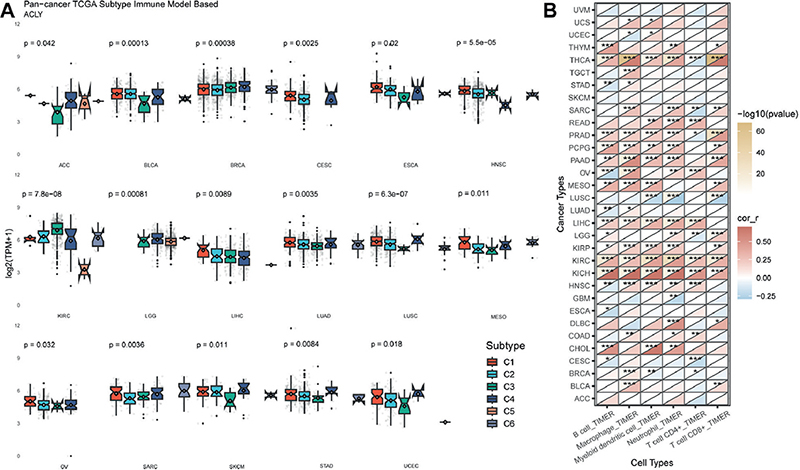 ATP Citrate Lyase is a General Tumour Biomarker and Contributes to the ...