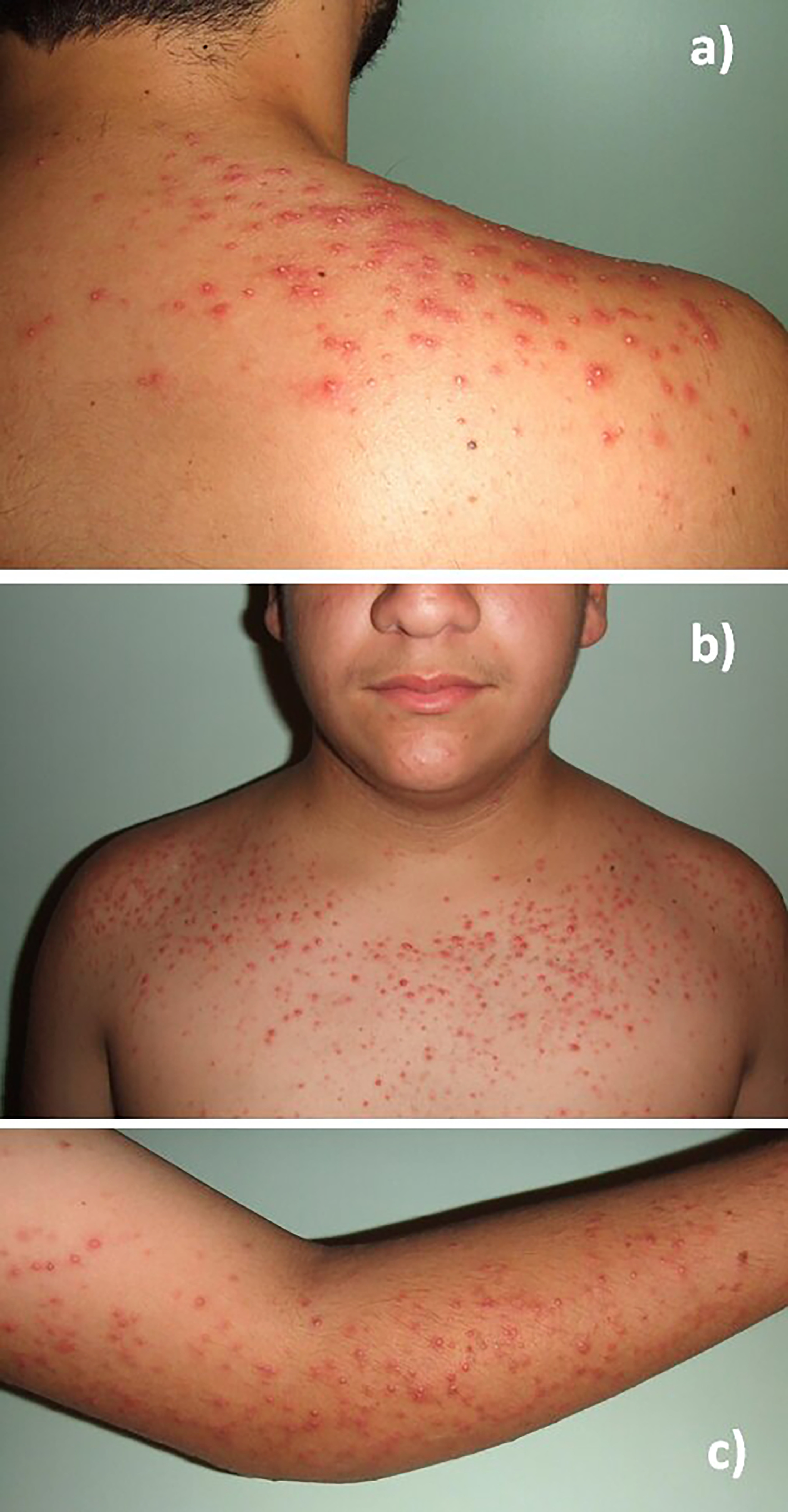 Figure 2
