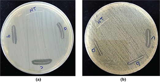 Figure 9