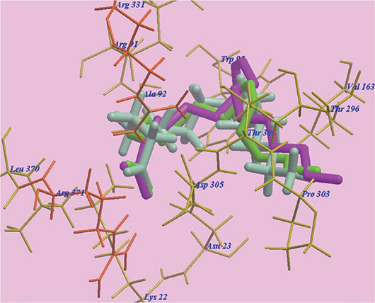 Figure 7