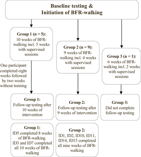 Click to Enlarge View Figure 1