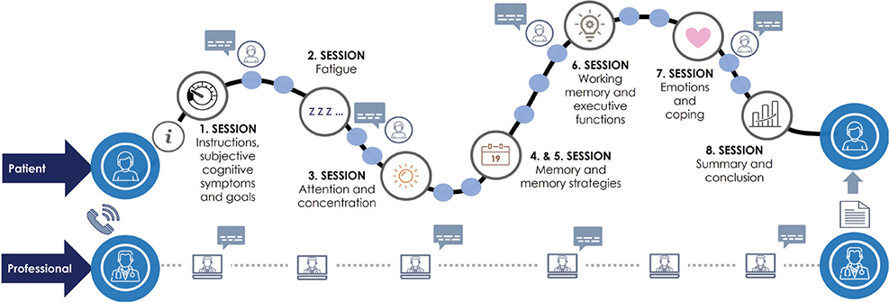 FEASIBILITY OF A NOVEL WEB-BASED NEUROPSYCHOLOGICAL REHABILITATION ...